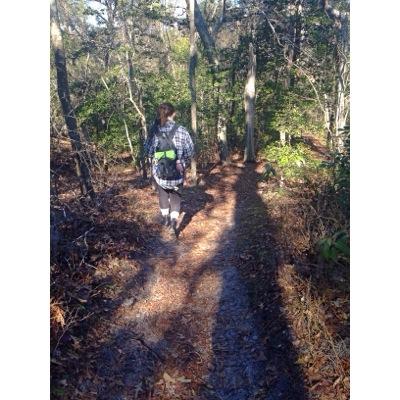 highendhippie's profile image