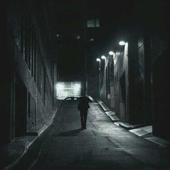 لا شيء.