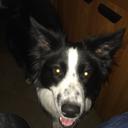 Jan Egenberger - @jantherep - Twitter