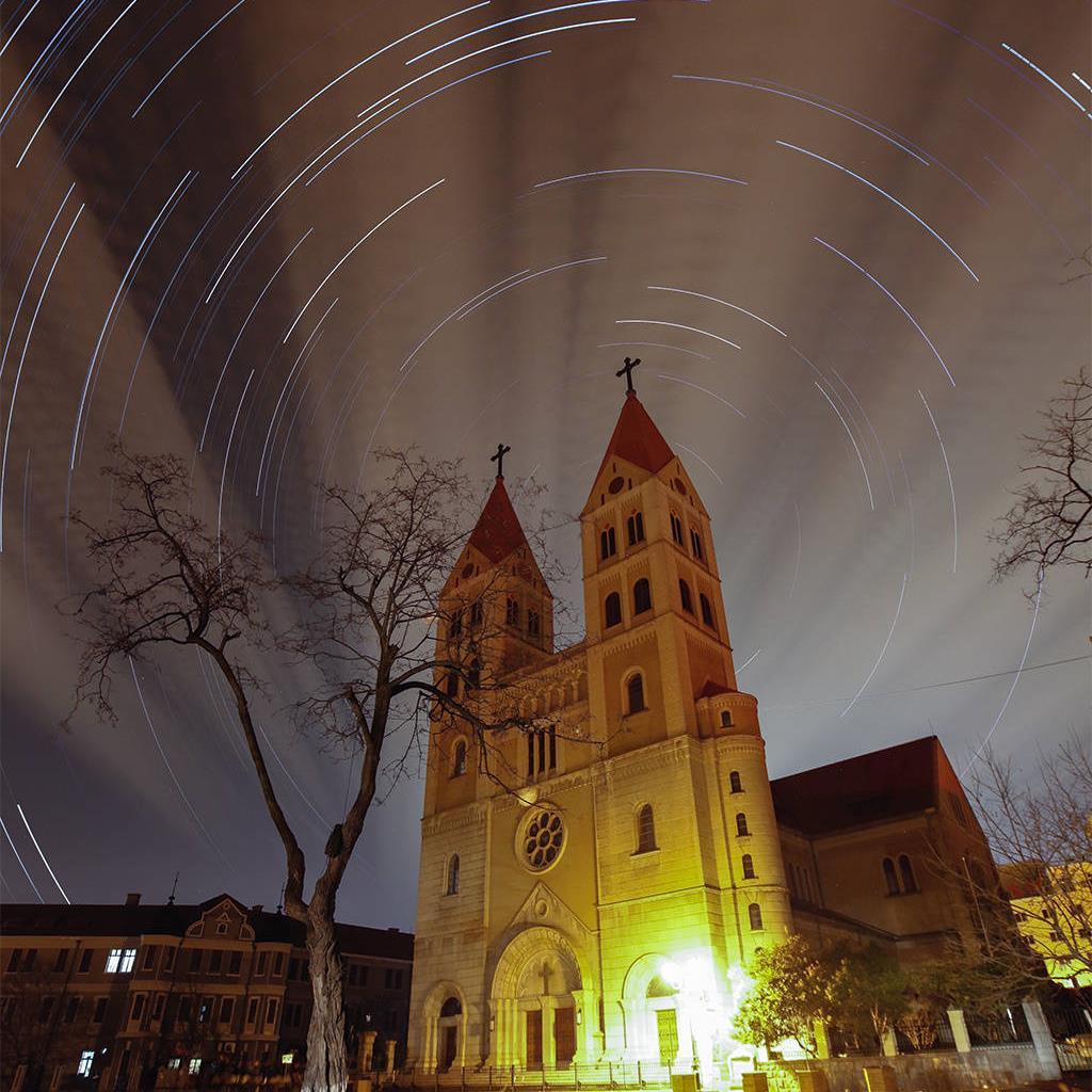 fishguy_liang's profile picture. 