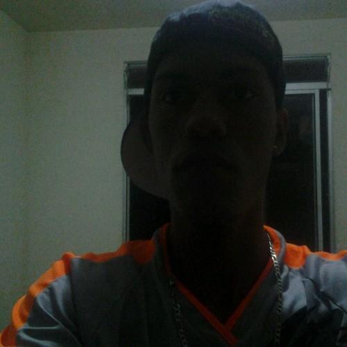 Galo doido