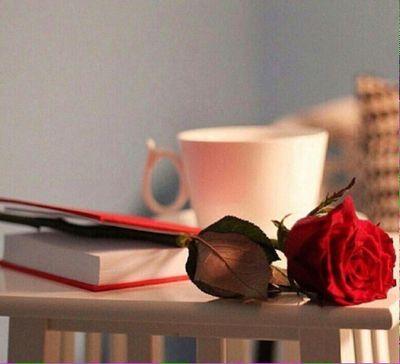 TOP2822's profile picture. 