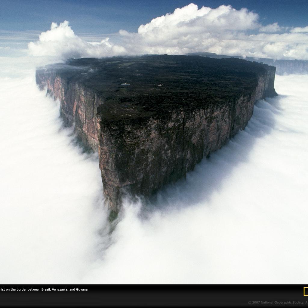 Roraima_ro's profile picture. 