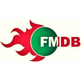 fmdball's profile picture. Federación Mexicana de Dodgeball