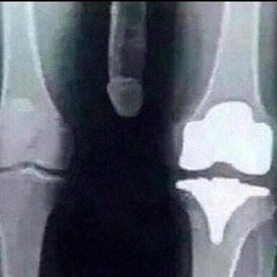 zhosterishere's profile picture. 