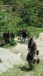 Dimana bumi ϑîpijak,ϑîsitu langit ϑîjunjung..keep smile ☺,♥ I Will Always Love U.