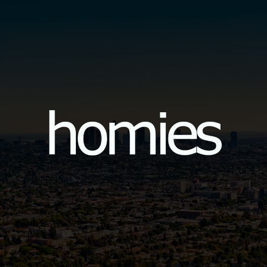 findhomies's profile picture. 