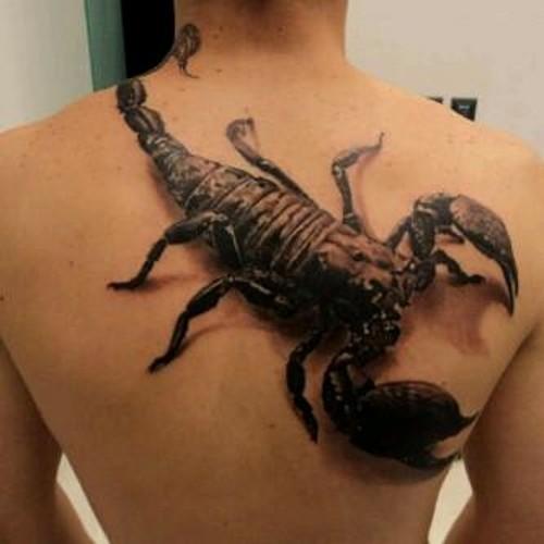 bbqchoppedsalad's profile picture. 