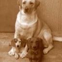 Luz Tello lagunas - @tello_lagunas - Twitter