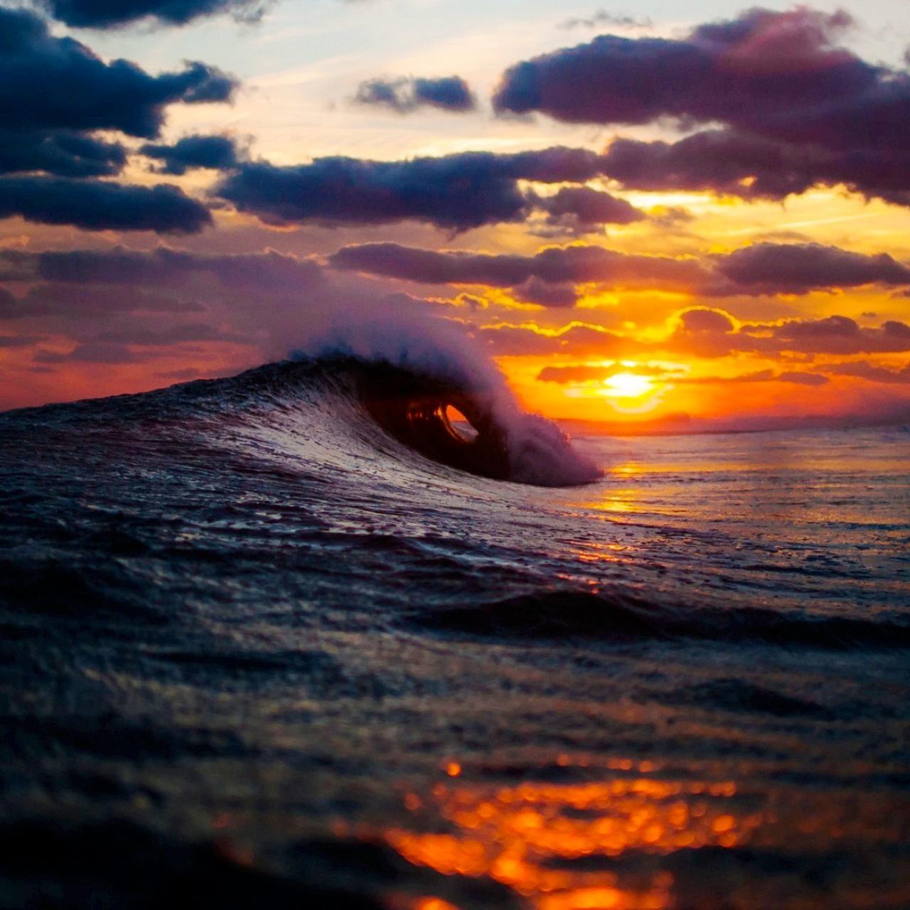 TheIntactivisor's profile picture. 