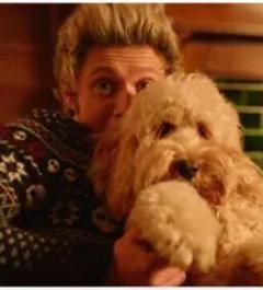 One Direction