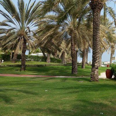 haah3030's profile picture. 