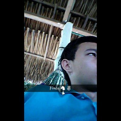 Solo Se Que Nada Se ♥/ Barcelonista Hasta La Muerte ♥