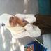 Siti Fatimah (@fatimahs95354) Twitter profile photo