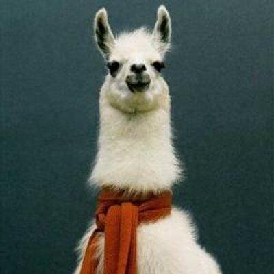 Pupucosas's profile picture. Nueva web sobre cultura latinoamericana al otro lado del charco.