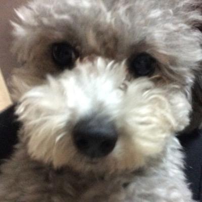 聖心6期