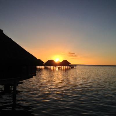 AlyssaLareau's profile picture. 