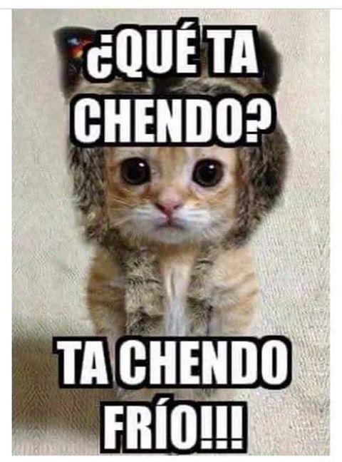 saritaamaya1m's profile picture. 