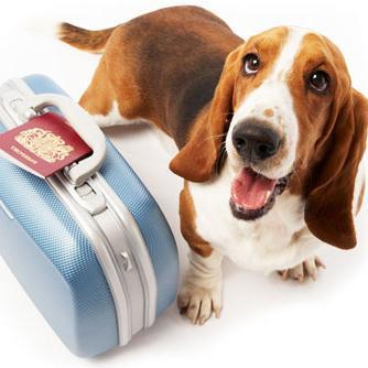 ladylerine's profile picture. A wanderlust discovering the beauty of the world, drinking aromatic teas, learning different cultures, meditating mindfully and loving the colours of a rainbow.