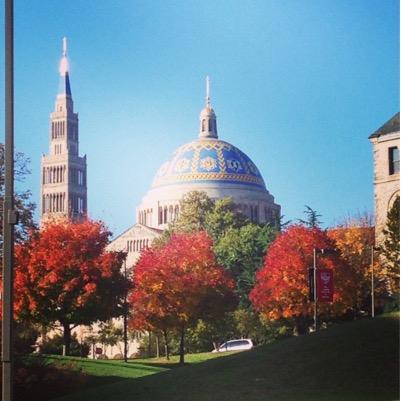 isCUAclosed's profile picture. 