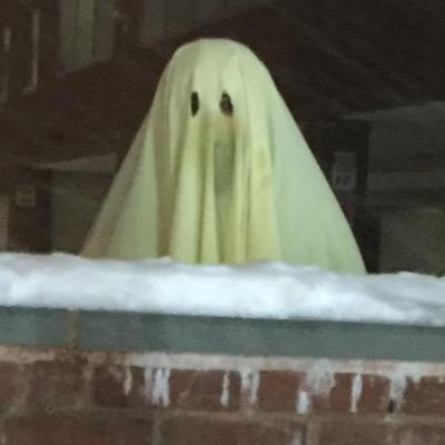 2015Snowst Profile Picture