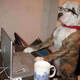 biagiorossi79's profile picture. 