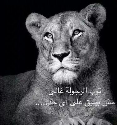 ‏‏مصرى وكلي فخر