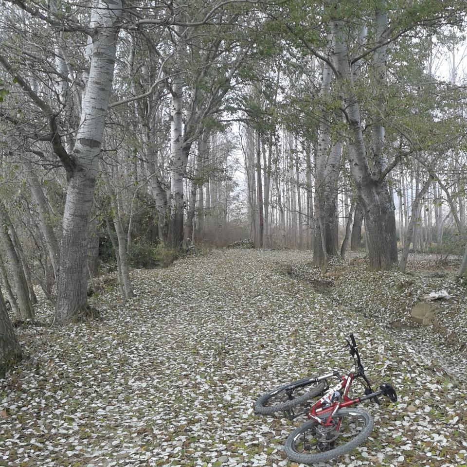 Aprediz de todo, de padre, de marido, de biker, de busero, de fotógrafo, de pintor...