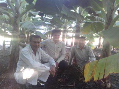 Son of Farmer | Volunteer for Farmer Alliance | eCommerce Programmer | Vision to protect  Food, & Farms from Chemical and Farmers from Capitalism.