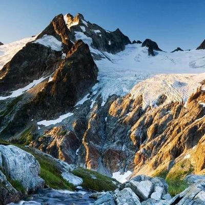 mistrylo's profile picture. 