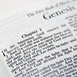 Christian. Calvinist. Cessationist. Credobaptist. Complementarian. Dispensationalist.