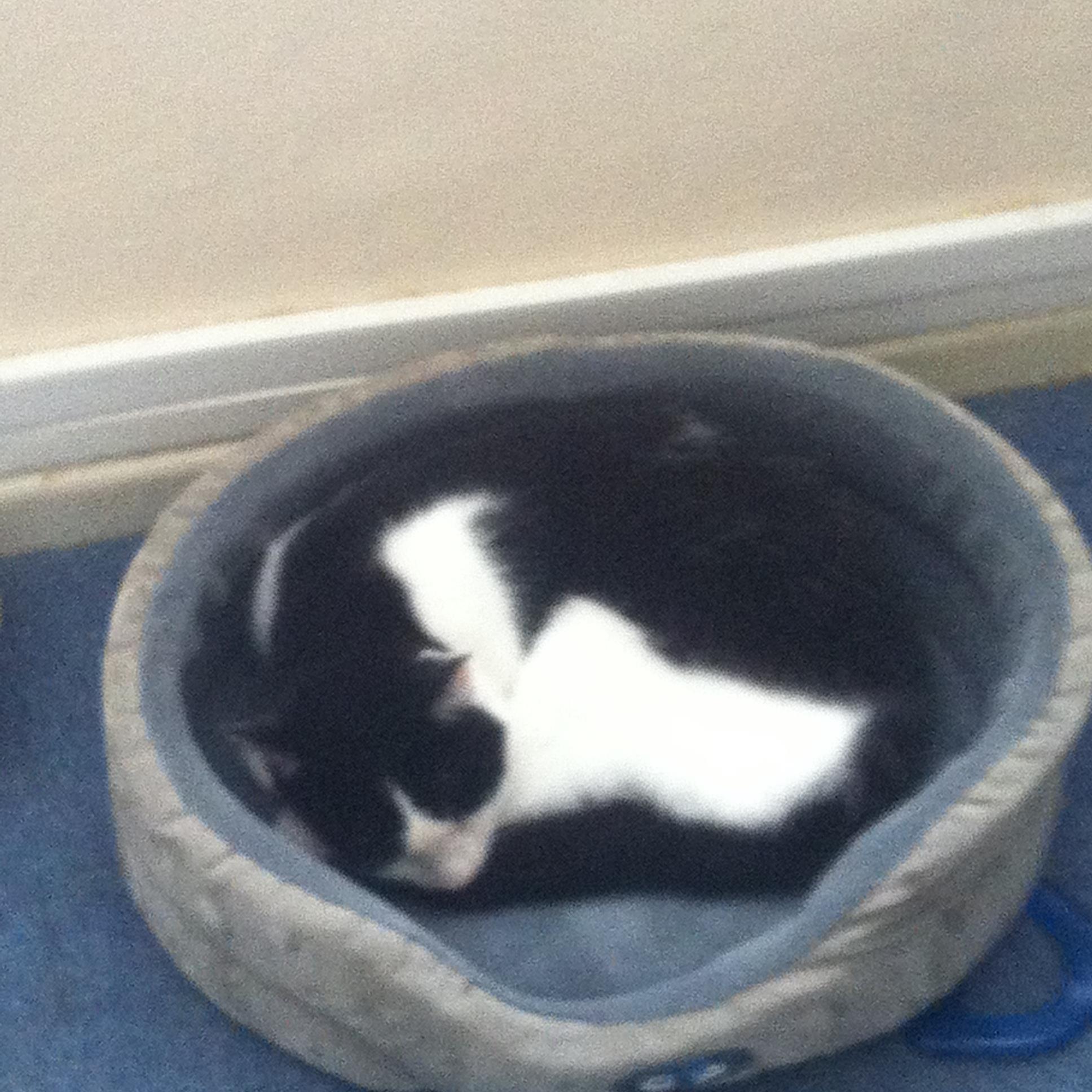 courteney331's profile picture. Bristol girly