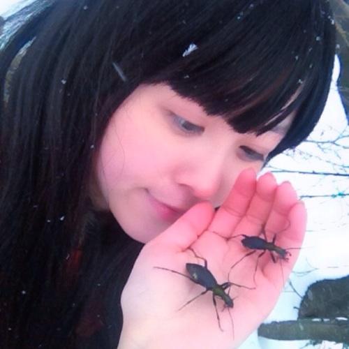 かゑるさんのプロフィール画像