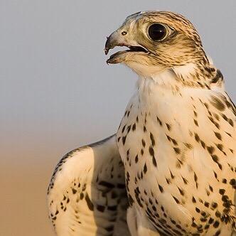 احسن الظن بالناس .. لتنعم بالراحه ❤️
