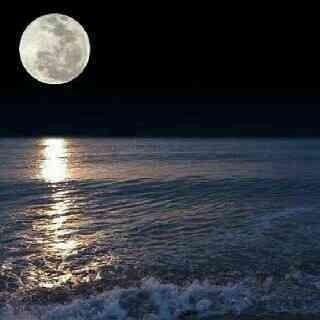 assala2211's profile picture. سيذكرني قومي إذا ما جد جدهم وفي الليلة الظلماء يفتقد البدر