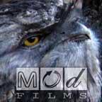 teamsanctuary's profile picture. A MOD Films screen production