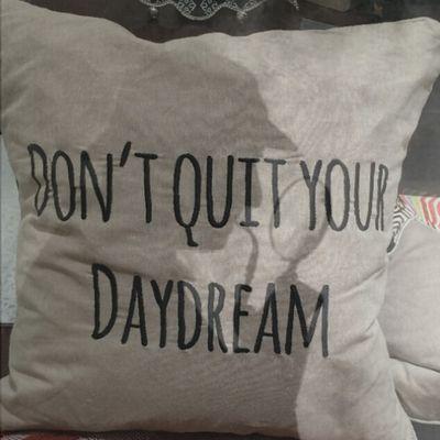 The Official Pillow Inspector!
