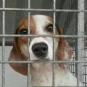 Mark Vickers - @olivenzaperrera - Twitter