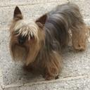 Patti-Cake - @PattiCakeSmith - Twitter