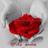 fofa_amoree's profile image