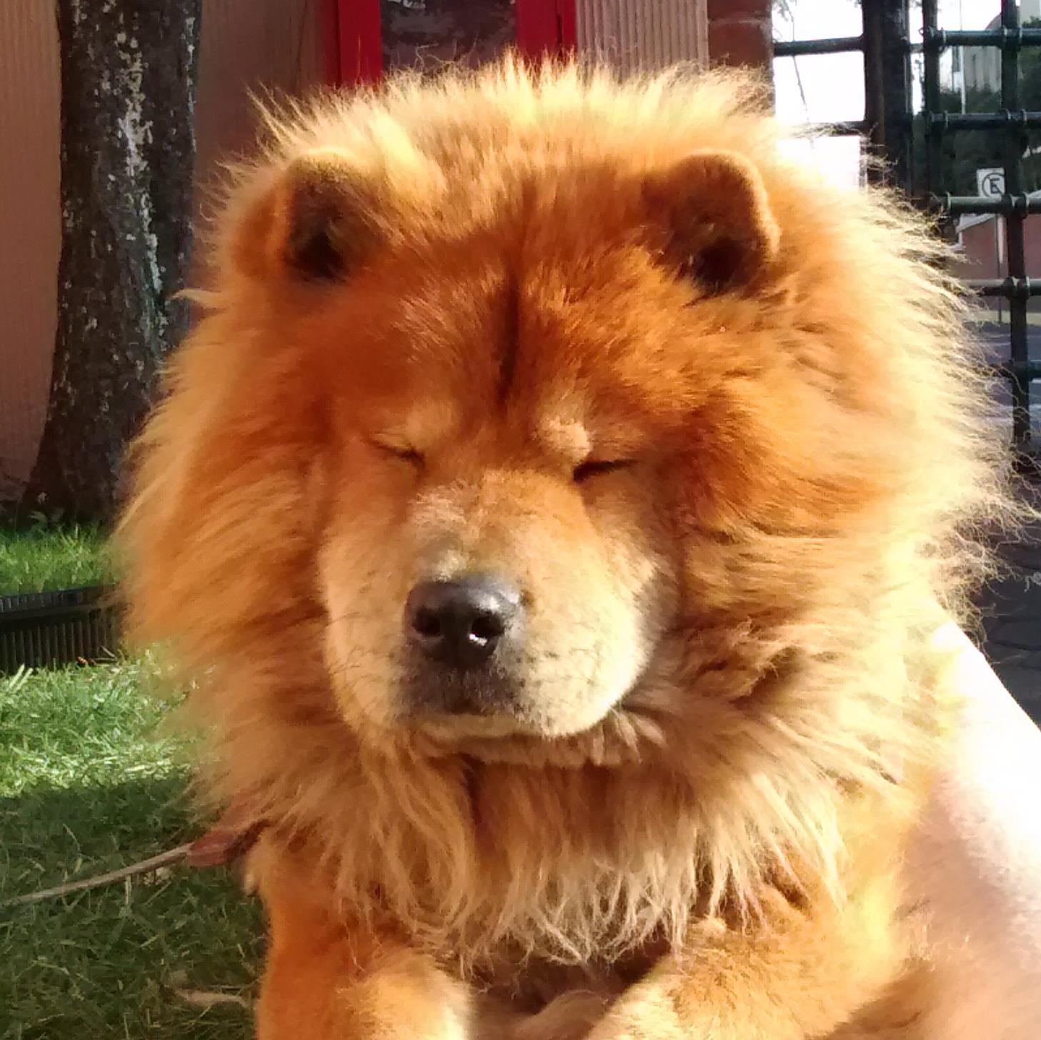 Arbauti's profile picture. 