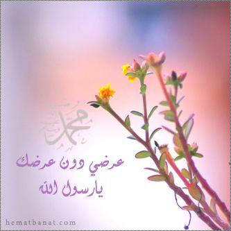 7EC1B4B