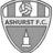 ashurst10's profile image