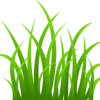 hydrolawn's profile picture. The quick and cost effective method of creating that new garden lawn you've always wanted