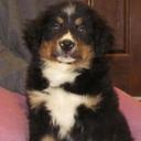 Cheryl Marin - @CAM4729 - Twitter