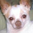 Daniel Fluke - @daniel4294 - Twitter