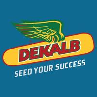 DEKALB UK(@dekalb_osr) 's Twitter Profile Photo