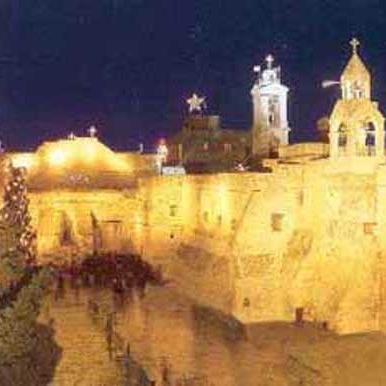 FreedomtoFrome's profile picture. 