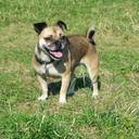 Mary Ivan - @maz1163 - Twitter