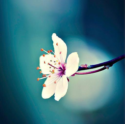 qabb11c's profile picture. Joueur playstation depuis plus de 20 ans